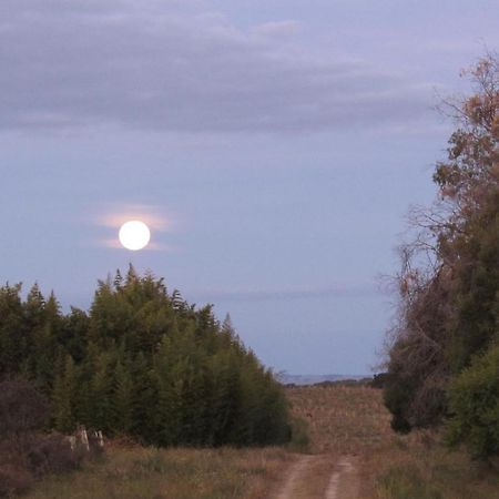Apartament El Rancho De Chispero Isla Patrulla Zewnętrze zdjęcie
