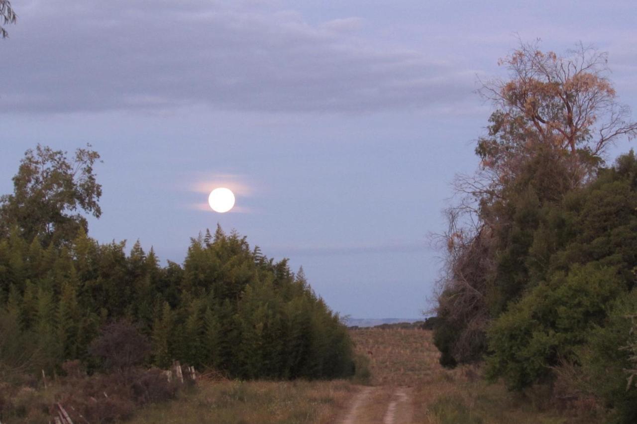 Apartament El Rancho De Chispero Isla Patrulla Zewnętrze zdjęcie